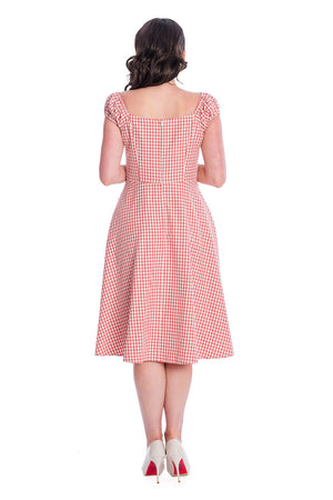 Gingham Picnick Dress